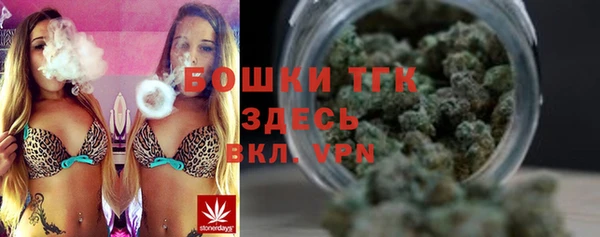 хмурый Корсаков