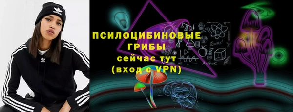 хмурый Корсаков