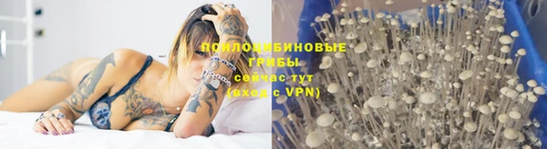 mdma Коряжма