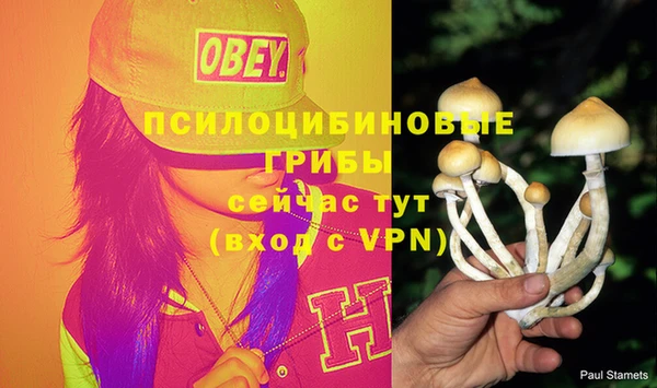 прущие крисы Костерёво