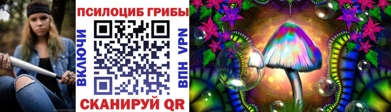 Галлюциногенные грибы Cubensis  Купить закладки  Благодарный 